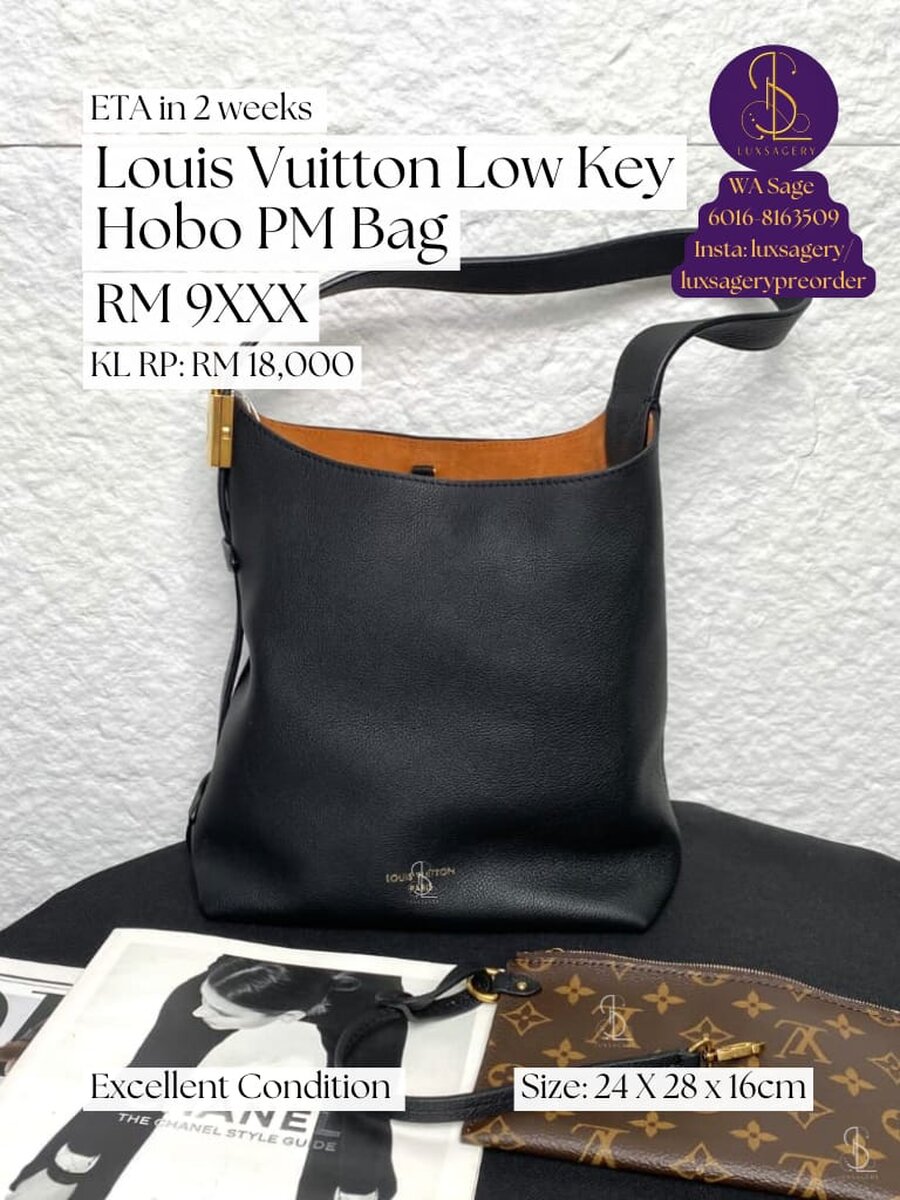 Louis Vuitton Low Key Hobo PM Bag