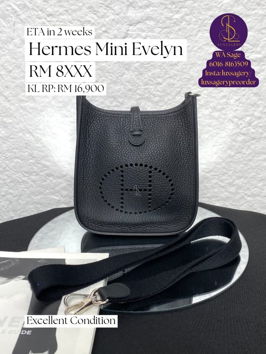 Hermes Mini Evelyn