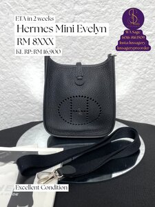 Hermes Mini Evelyn - Image 2